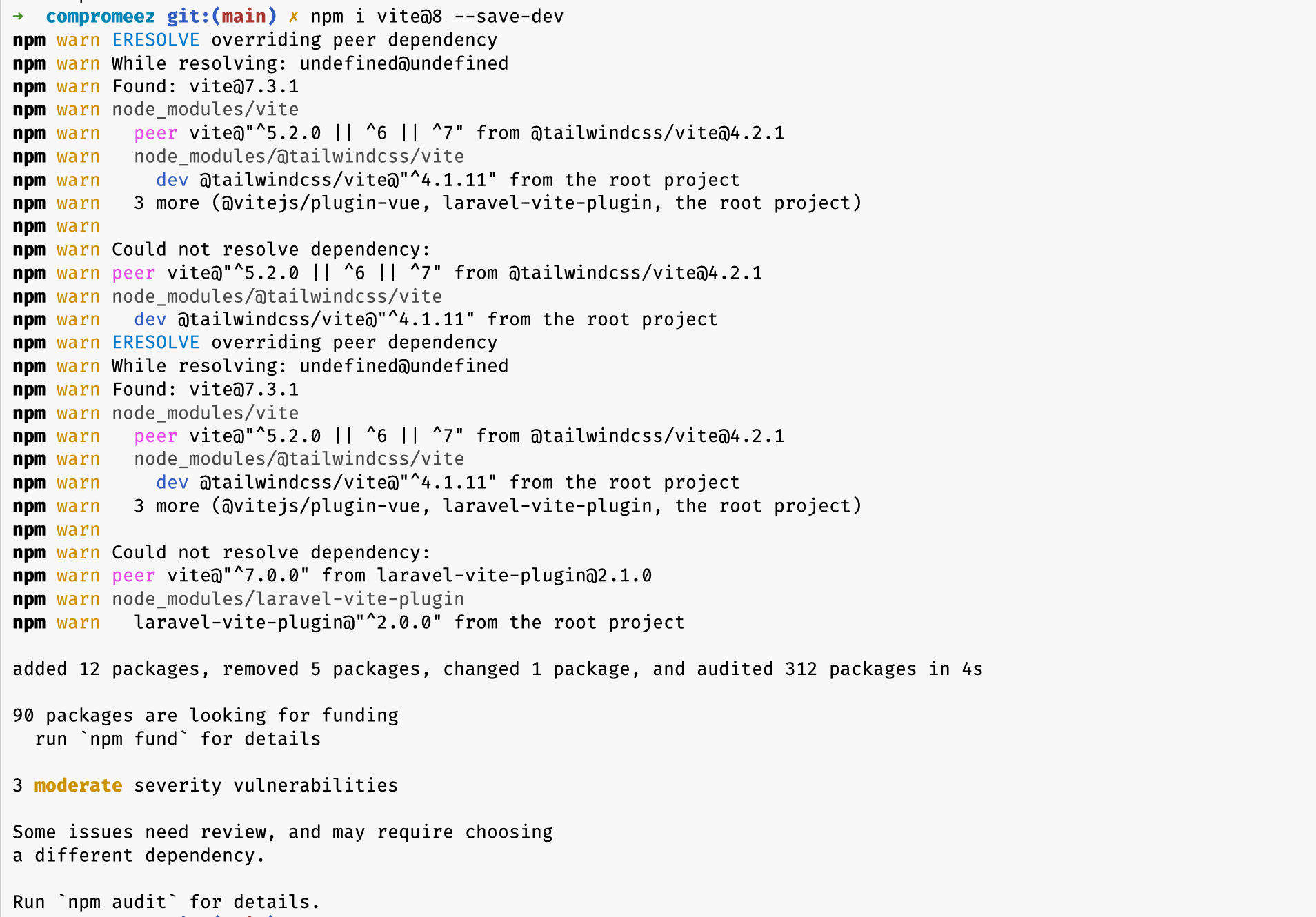 hasil perintah memutakhirkan vite di terminal
